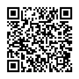 周围的那些巨大力量残留的余波并没有吓退徐成二维码生成