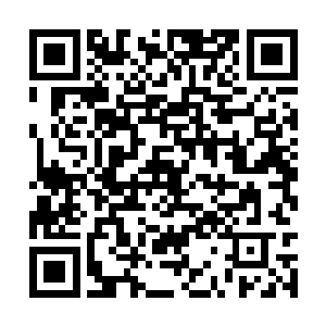 周围的那些幽冥狼此时也开始忍不住蠢蠢欲动起来二维码生成