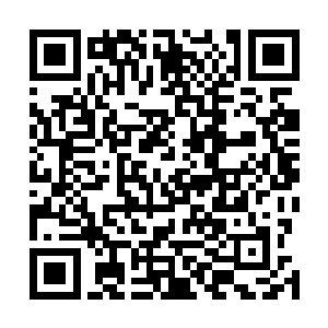周围的那些苍澜宗人尊期大修士也都一双双目光望了过来二维码生成
