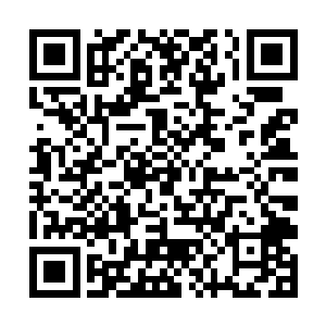 周围的那些血狱怪物仿佛本能的对那血狱怪物有恐惧二维码生成