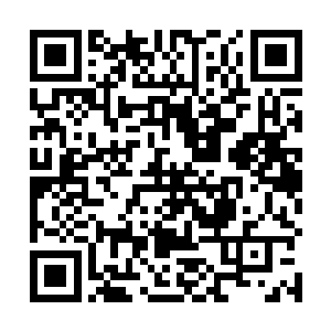 周围被臭灵熏得气晕八素的手下和卫队可就没那么幸运二维码生成