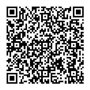 周围还没有散去仍旧跟着他们的贵族和硬被派来的小祭司和神侍们都以为吴尚国王听了这话会发怒二维码生成