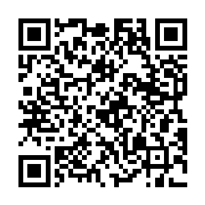 周围那些焚天宗过来的弟子一个个的也全都是慷慨激昂二维码生成