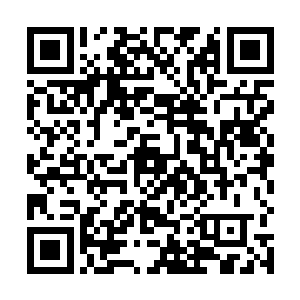 周围那些观战的一元宗弟子早都已经跑到很远的地方了二维码生成