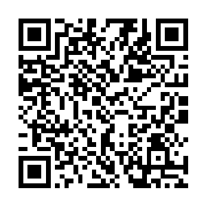 周围那些高手也是被整个天灵大陆所有高手一起抗住的二维码生成