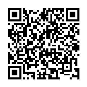 周围那充满了压迫的气息让老者的脸sè也是变得惨白无比二维码生成