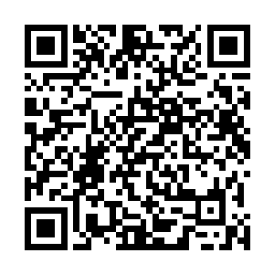 周围都是被强行喂饱了风沙的狼狈家伙们的一大片叫骂声二维码生成