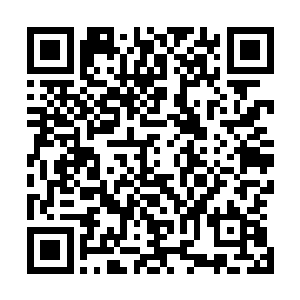 周围飞落的各种碎石碎片也飞速以比他们更快的速度落下去二维码生成