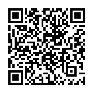 周围食客跟后来在电视上看见这个画面的观众都哈哈大笑二维码生成