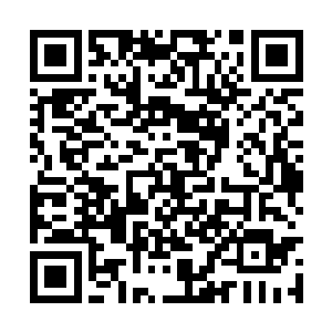 周天学院乃是周天岛之中专门用来培养人才的地方二维码生成