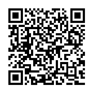 周嫫是那种可以快快乐乐的在家里一憋就是一个月不出门的死宅二维码生成