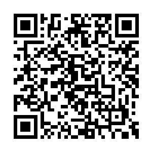 周家就绝不会容许嫡孙被拐跑……要争人才可以二维码生成