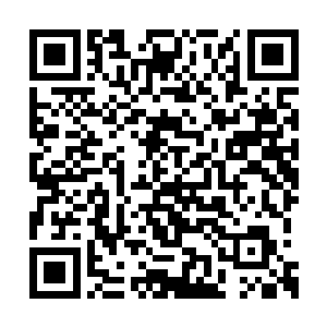 周家辉带领着考察团不但完成了考察和学习任务二维码生成