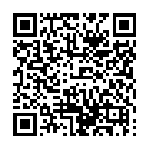 周师傅你看这……小骆师傅真的是个……性情中人啊二维码生成