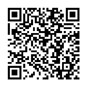 周御龙对于南瞻部洲的局势和势力分布还是有着一定的了解二维码生成