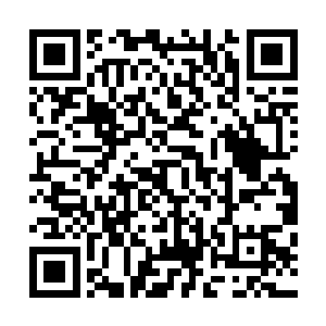 周德兴根本就没机会看到那份秦林和青黛绘制的正版影形图二维码生成