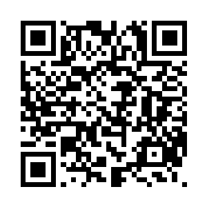 周怀轩牌和盛思颜牌两门小钢炮架起来二维码生成