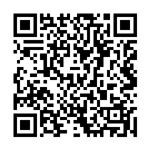 周怀轩看着满院子的地面都铺着盖了细绒布的竹席二维码生成