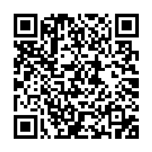 周日月指挥着赤炎极鸟朝着应天城当中一座恢弘的府邸冲了过去二维码生成
