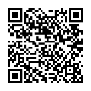 周显白愣愣地一路跟着滚动的阿财走进它的小套间二维码生成