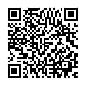 周泰与老二方擎便看到苏林一枪将邢军和老四秦山捅了一个对穿二维码生成