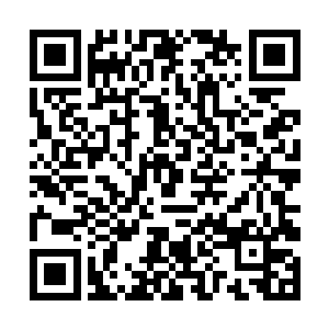 周涛和重案组的手足都贴身保护水心柔快两个星期了二维码生成