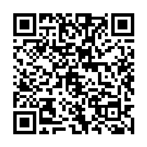 周琳菲也给自己铺了张毯子就那么穿着裙子躺下来二维码生成