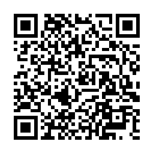 周芯和卢凤英犹豫了好久才把自己的账号告诉戴恩恩二维码生成