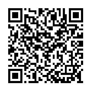 周芯和周浩他们看着戴恩恩的眼神好像见到了鬼二维码生成