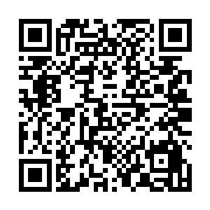 周身的恐怖雷光在瞬间汇聚成一柄贯穿天穹的雷霆之剑二维码生成
