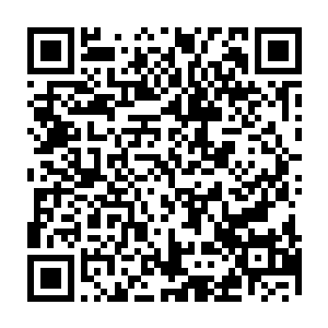 周身萦绕的上百幅屏幕中出现了无数错综复杂的设施示意图和玄奥繁复的公式二维码生成