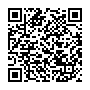周遭那装饰性的铠甲和雕塑全部活化成活铠甲武士二维码生成
