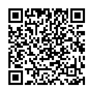 周青两个人望向龙傲天的目光之中也更加的崇拜起来二维码生成