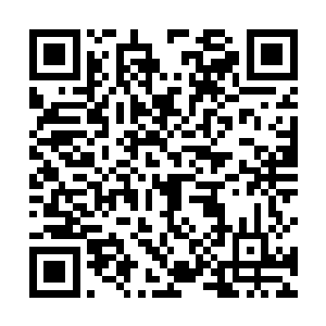 呵呵……既然她们那么爱你……见你如此可怜……我想二维码生成