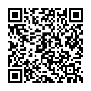 呼……一缕温和的海风带着些许腥气吹到我鼻端二维码生成