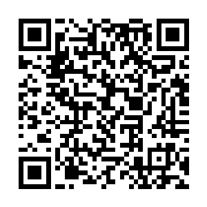 呼之欲出的紧张与惶惑已经将叶家某良辰的内心出卖二维码生成