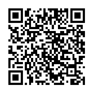 呼吁大陆上所有的国家来派遣力量抵抗亡灵的入侵二维码生成