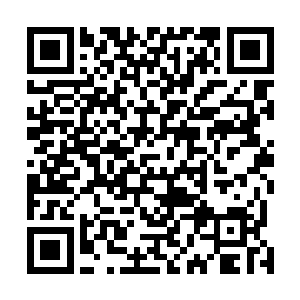 呼吸间一股股淡泊的金色霞光从它的微张的口鼻中吞吐着二维码生成