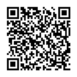 呼地夹带着一股强劲的拳风狠狠地扫落击向了龙羽二维码生成