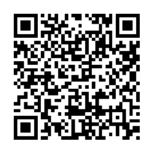 命令云宝宝以最快地速度向着西方魔族之地飞去二维码生成