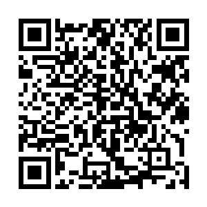 命令所有祭司都要到各自所负责的村落去搜寻烈士的遗骨二维码生成
