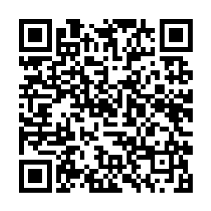 命运主宰和大地主宰实际上已经愿意站在他们一边了二维码生成