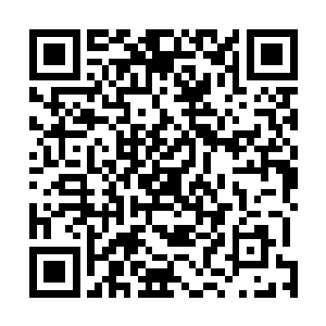 命运主宰和大地主宰想为第一家族这属于非常正常的现象二维码生成