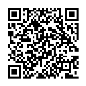 咆哮一声便是从左边开始对灰色蜥蜴发动进攻了二维码生成