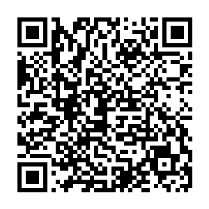 和一个第一次参加欧冠比赛就能够以十一个球当选最佳射手的天才比起来二维码生成
