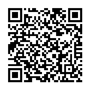 和一个荒野守护者在一起的好处第二天就显现出来了二维码生成