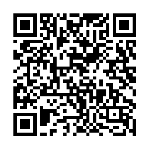 和一些尚未得到传承台的小混元境大能则是大动干戈二维码生成