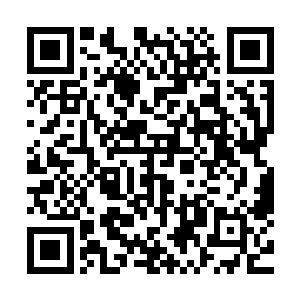 和一般法则灵鱼不同的是那双有灵性的眼睛不停的打量着四周二维码生成