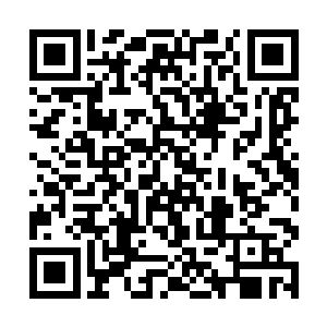 和三个月前他们在乱石林中俯视叶尊那一幕何其相似二维码生成