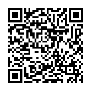 和上个世界罗楼运用力量幻化而出的暗面之噬一模一样二维码生成